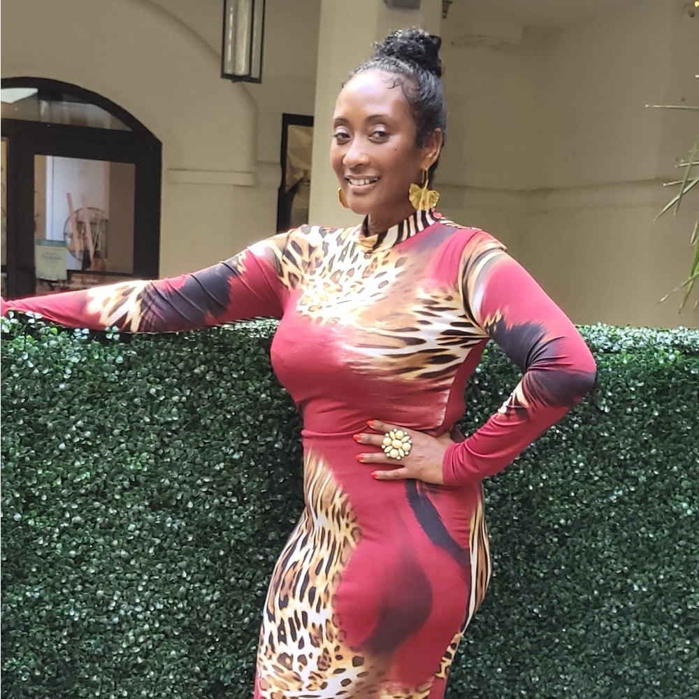 Elegant Animal Print Long Sleeve Dress